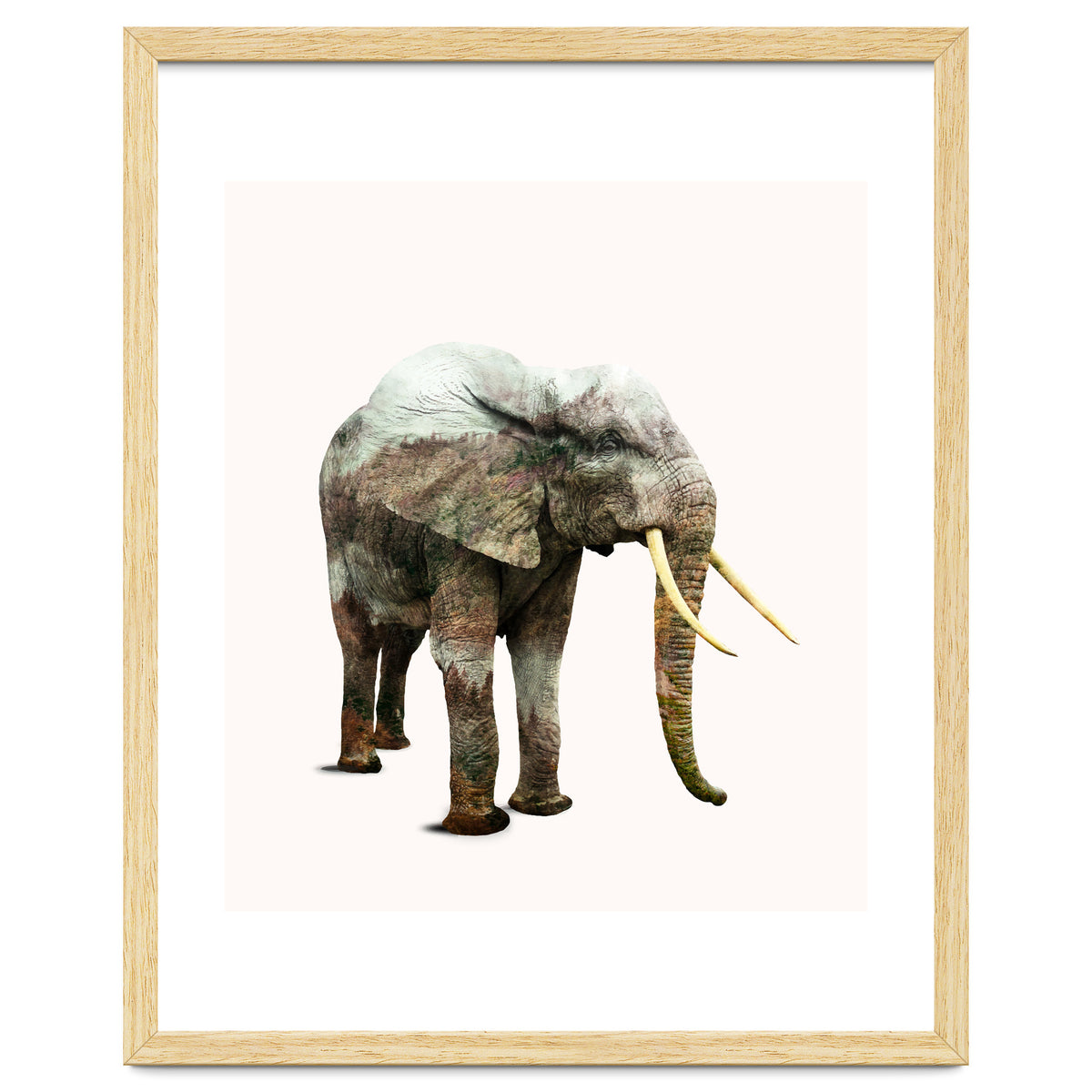 Elephant Transformation