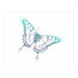 Blue Swallowtail (Print Only) thumbnail