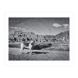 Taos (Print Only) thumbnail