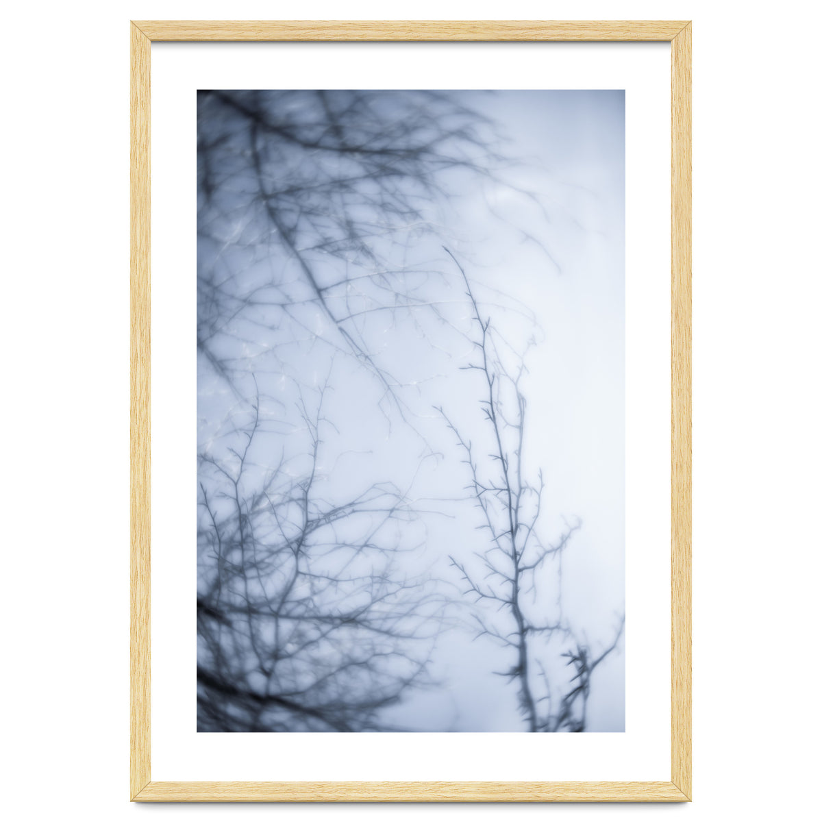 Forgotten Memories of Summer #21