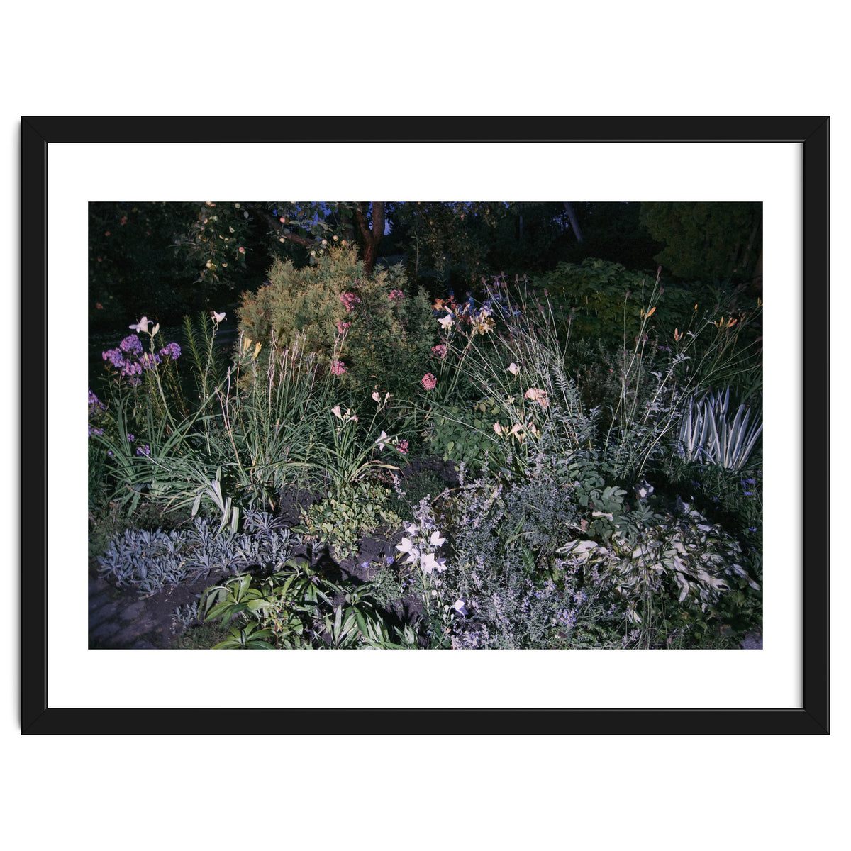 Picture Postcard Perfect