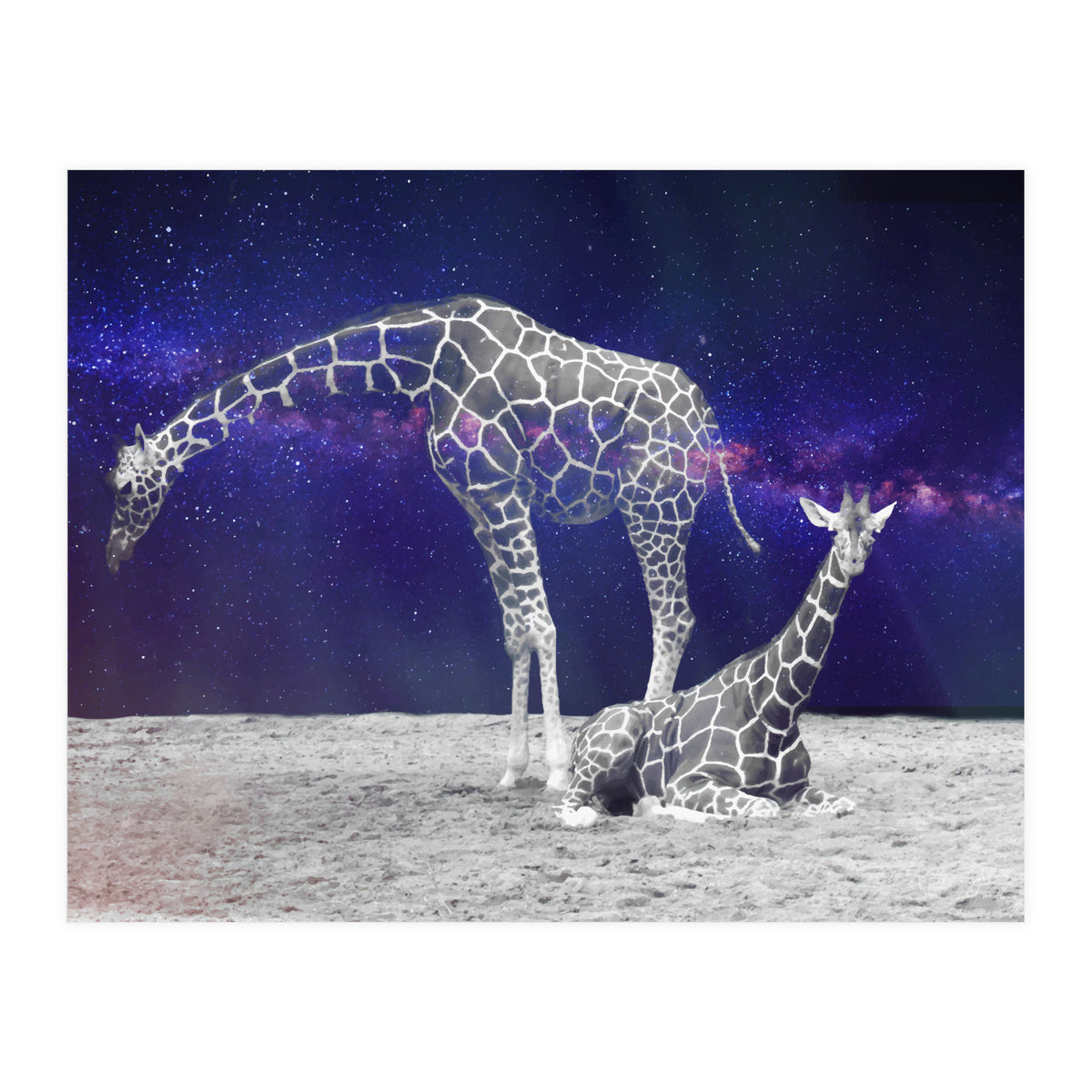 Giraffes on The Moon (Print Only)