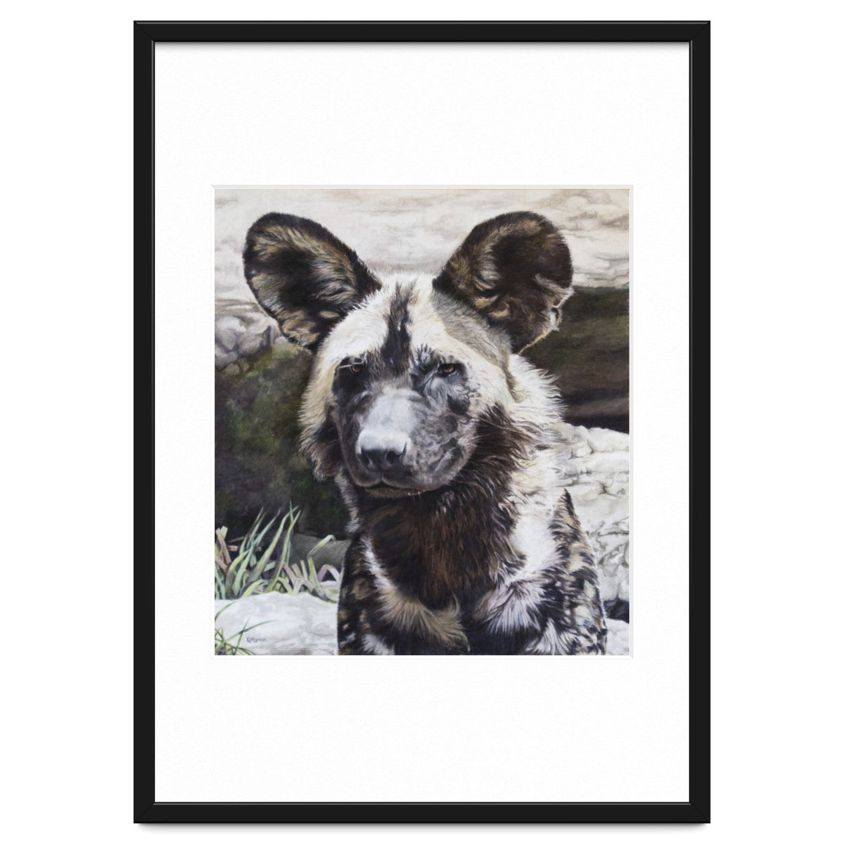 African Painted Dog II