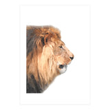 Lion Profile (Print Only) thumbnail