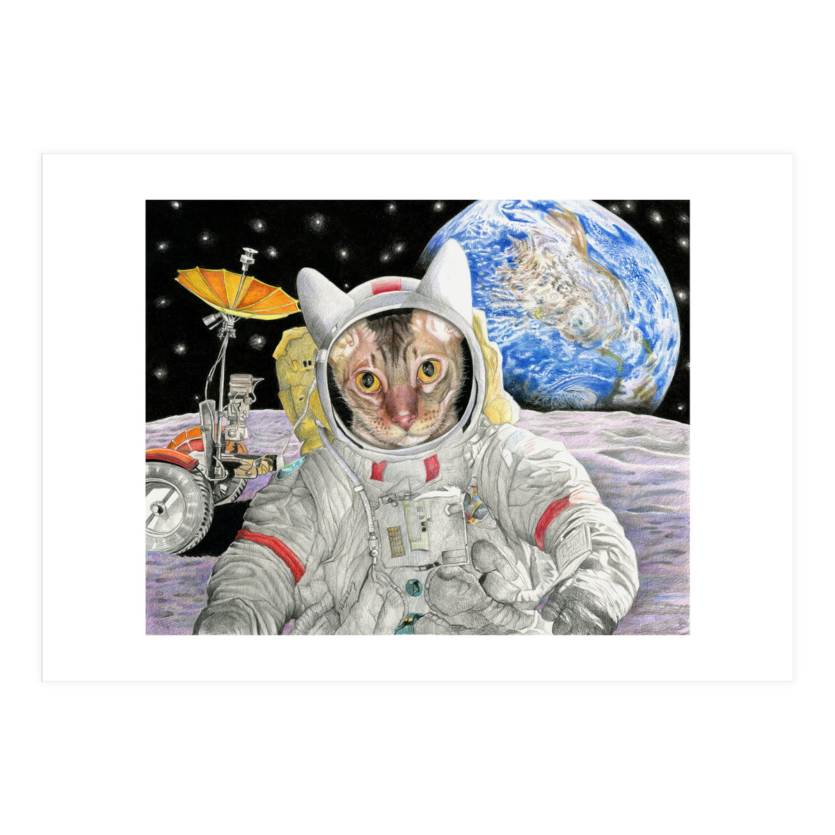 Nasacatadjustcolor (Print Only)