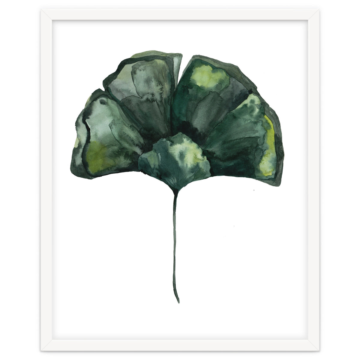 Botanical Illustration Ginko