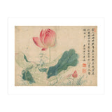 Qing Wangwu Flower album, lotus, lotus leaf, pond, copy of water grass (Print Only) thumbnail
