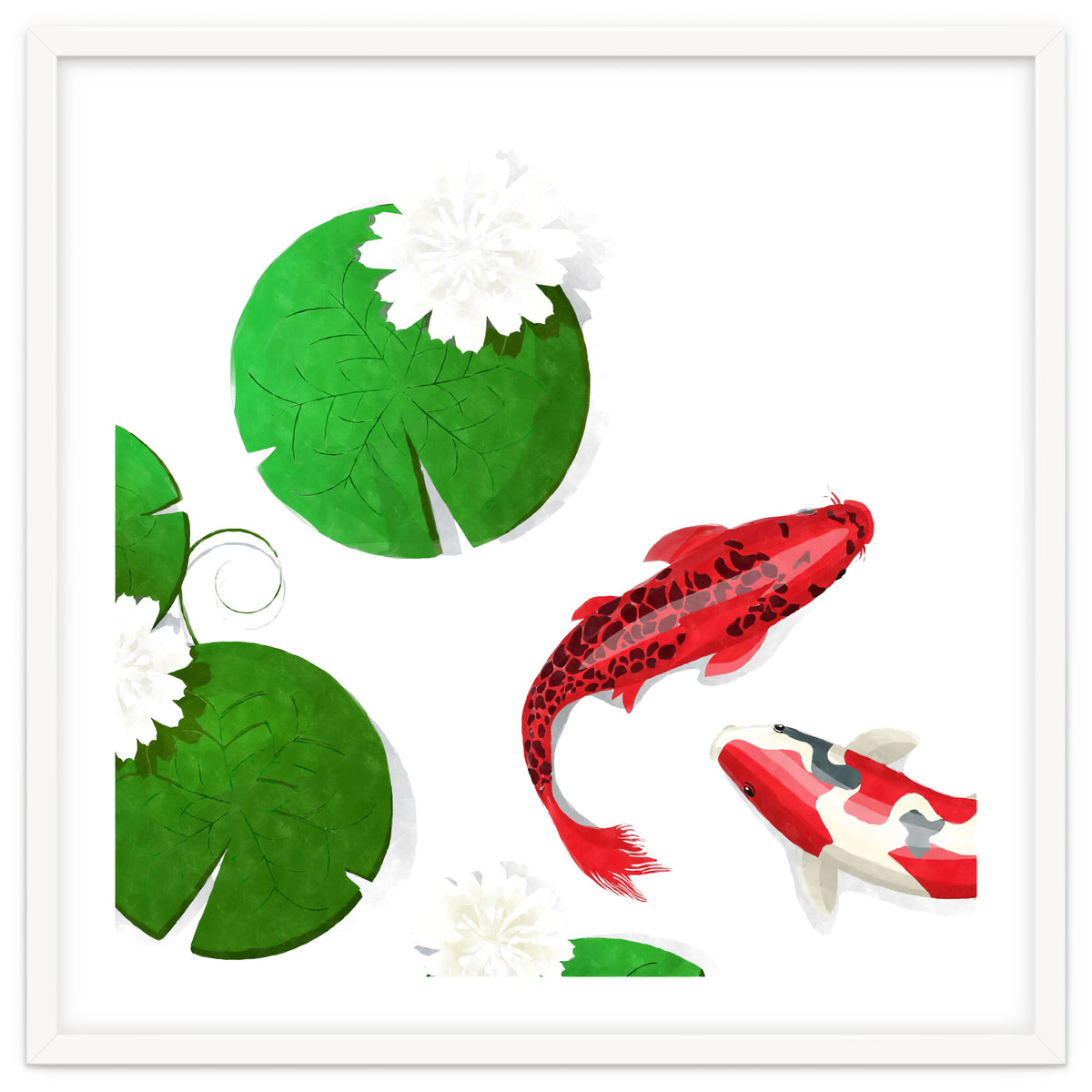 Watercolor Koi Fish Background