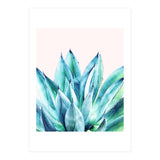 Agave Vibe (Print Only) thumbnail