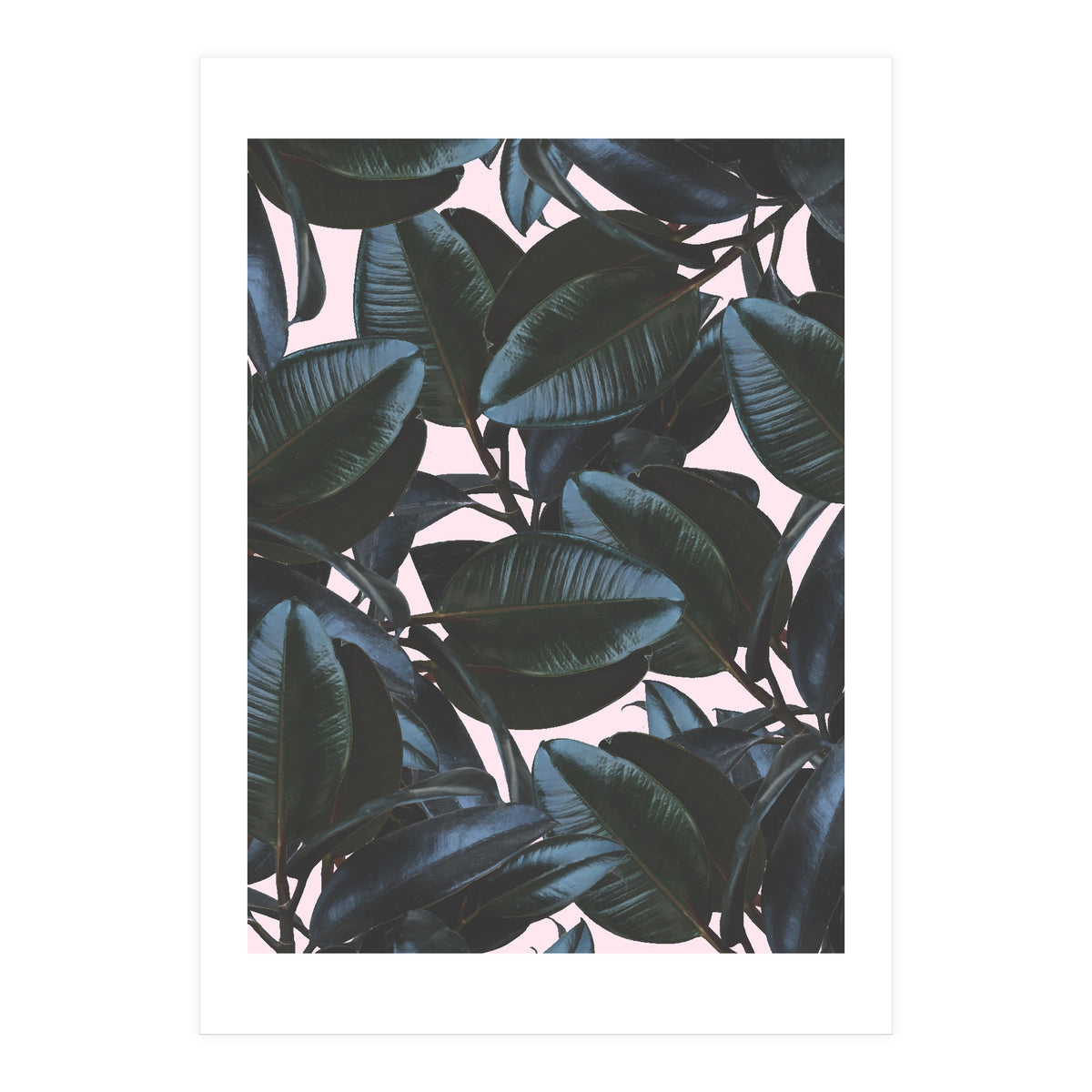 Charming Impression (Print Only)