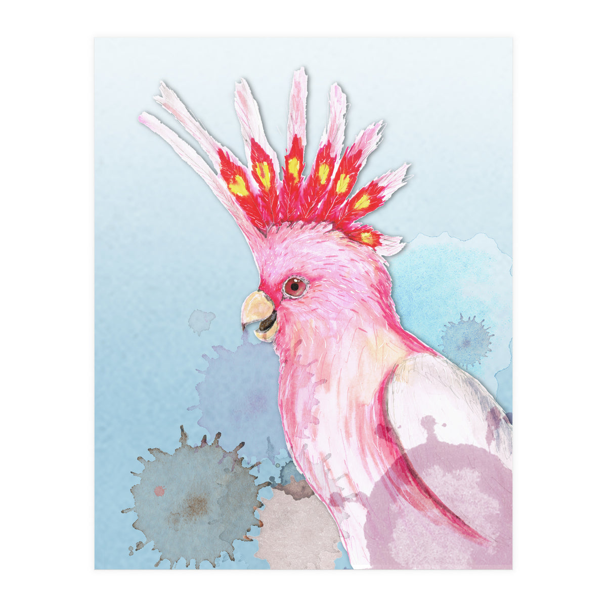 Major Mitchell's cockatoo (Print Only)