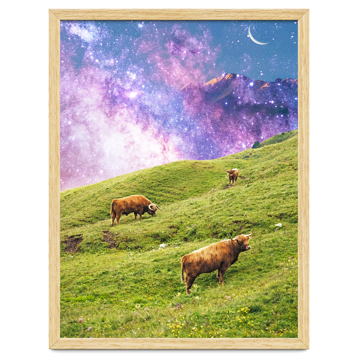 Space Cow Series II
