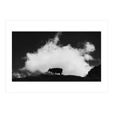 cow and cloud (Print Only) thumbnail