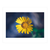 Butter (Print Only) thumbnail