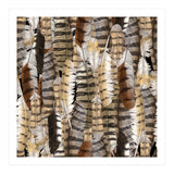 Owl Feathers (Print Only) thumbnail
