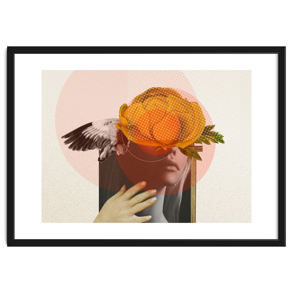 Dreamland Division · C