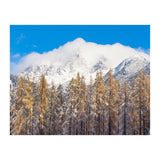 Cloudy Crown (Print Only) thumbnail