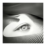 Untrue (Print Only) thumbnail