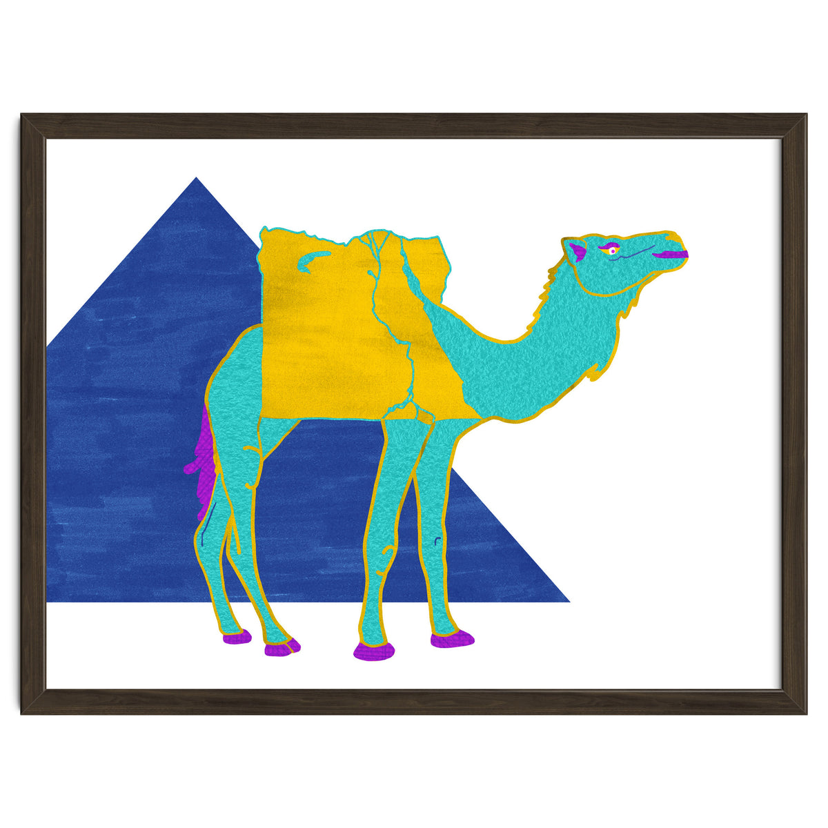 Egyptian Dromedary