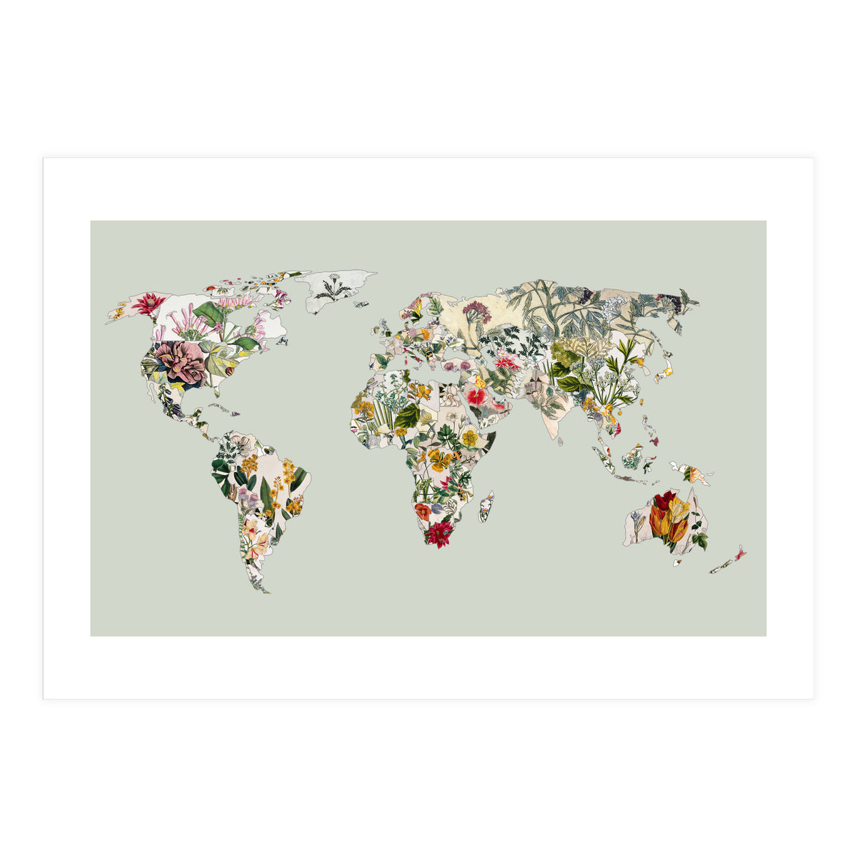 Vintage Botanical Map - Green (Print Only)