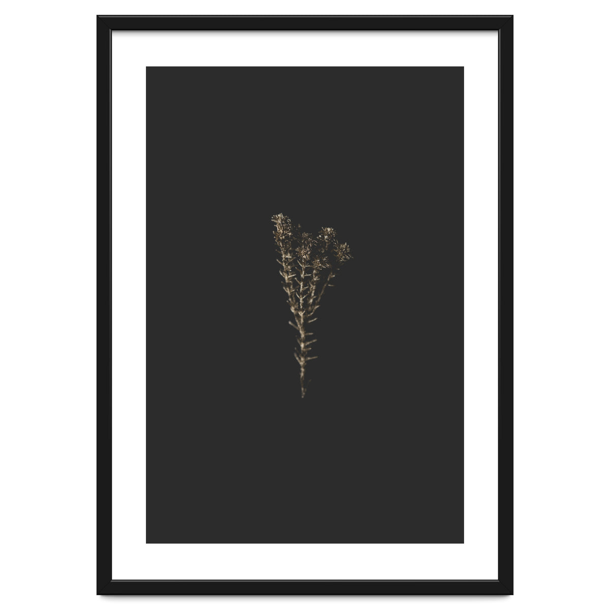 Moody Golden Botanicals