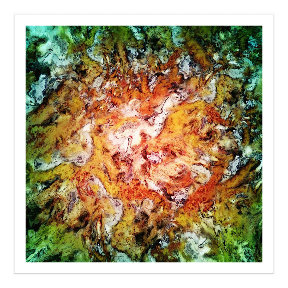 The Natural Light (Print Only)