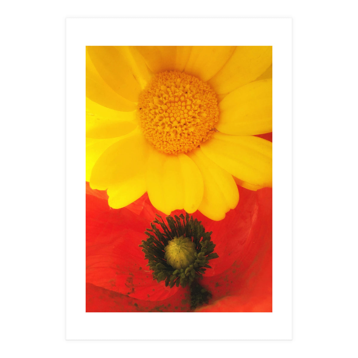 SPRING LOVE (Print Only)