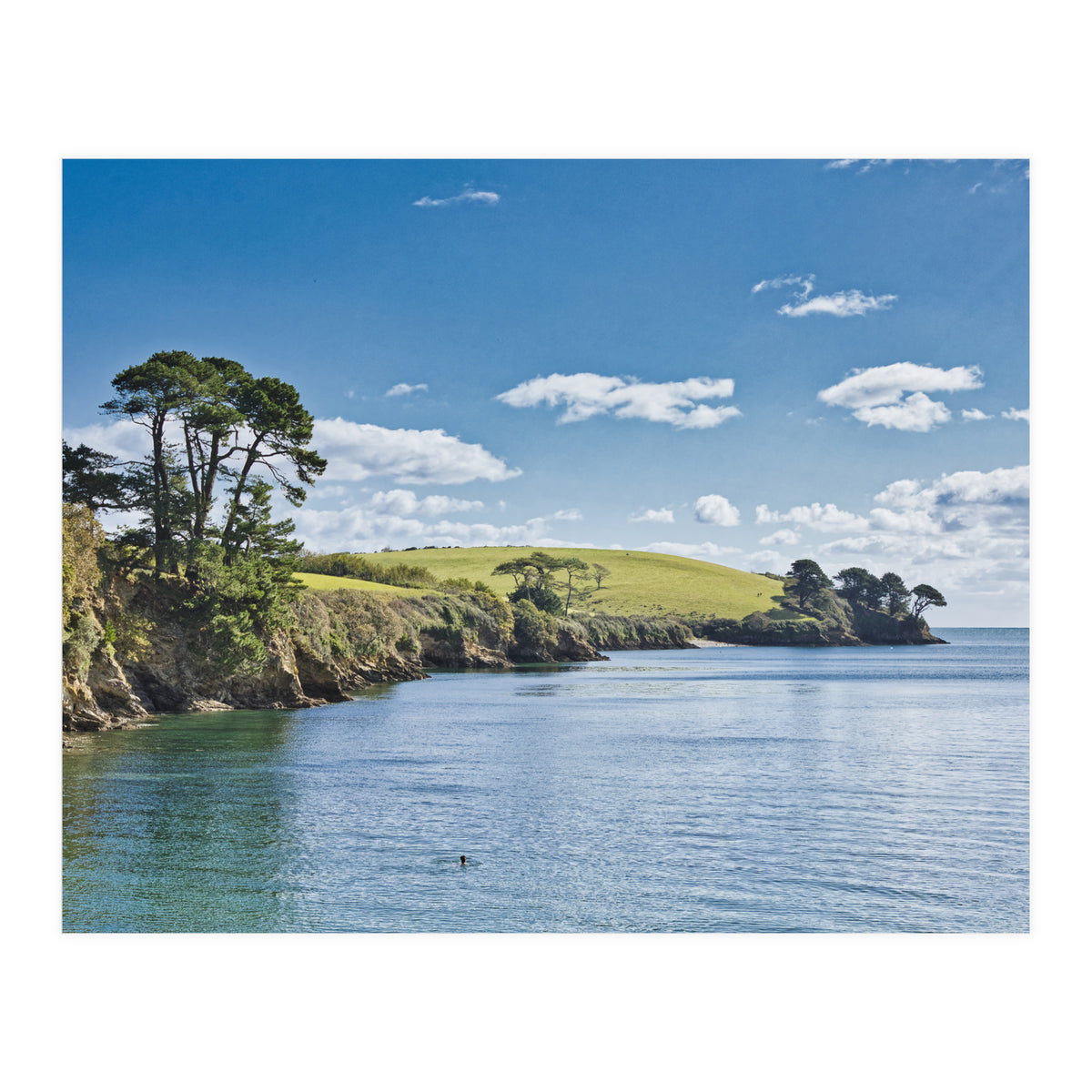 Estuary (Print Only)