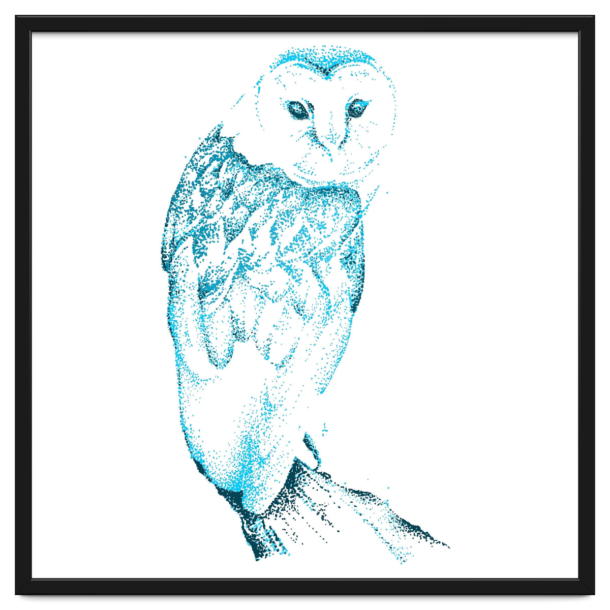 Barn Owl in Teal