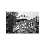 Adore, Urban London Street Art (Print Only) thumbnail