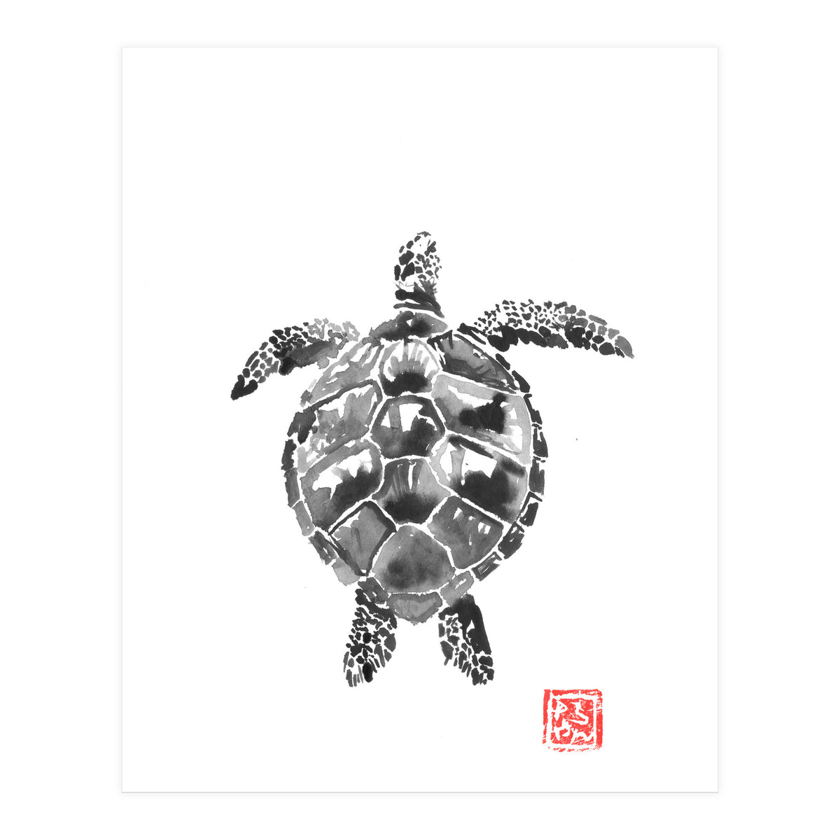 Tartoise (Print Only)