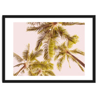 Blush Pink Boho Palm Trees