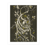 The Mangrove Tree (Print Only) thumbnail