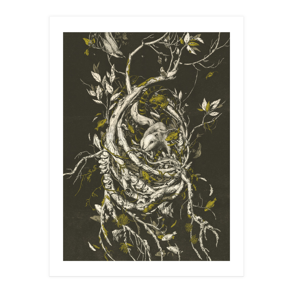 The Mangrove Tree (Print Only)