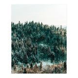 In The Wild (Print Only) thumbnail
