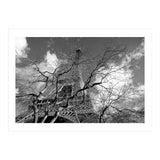 Eiffel Tower, Paris (Print Only) thumbnail