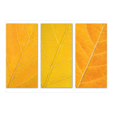 Autumn Leaves (Print Only) thumbnail