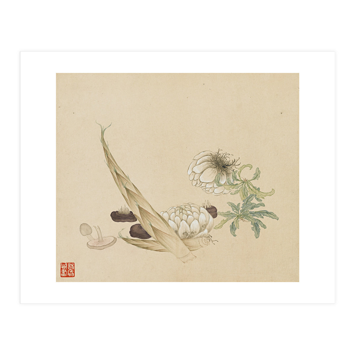Wang Chengyu ~flowers, Vegetables, Lilies, Bamboo Shoots, Leaves, Mushrooms, Vegetables (Print Only)