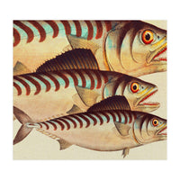 Fish Classic Designs 8 (Print Only)
