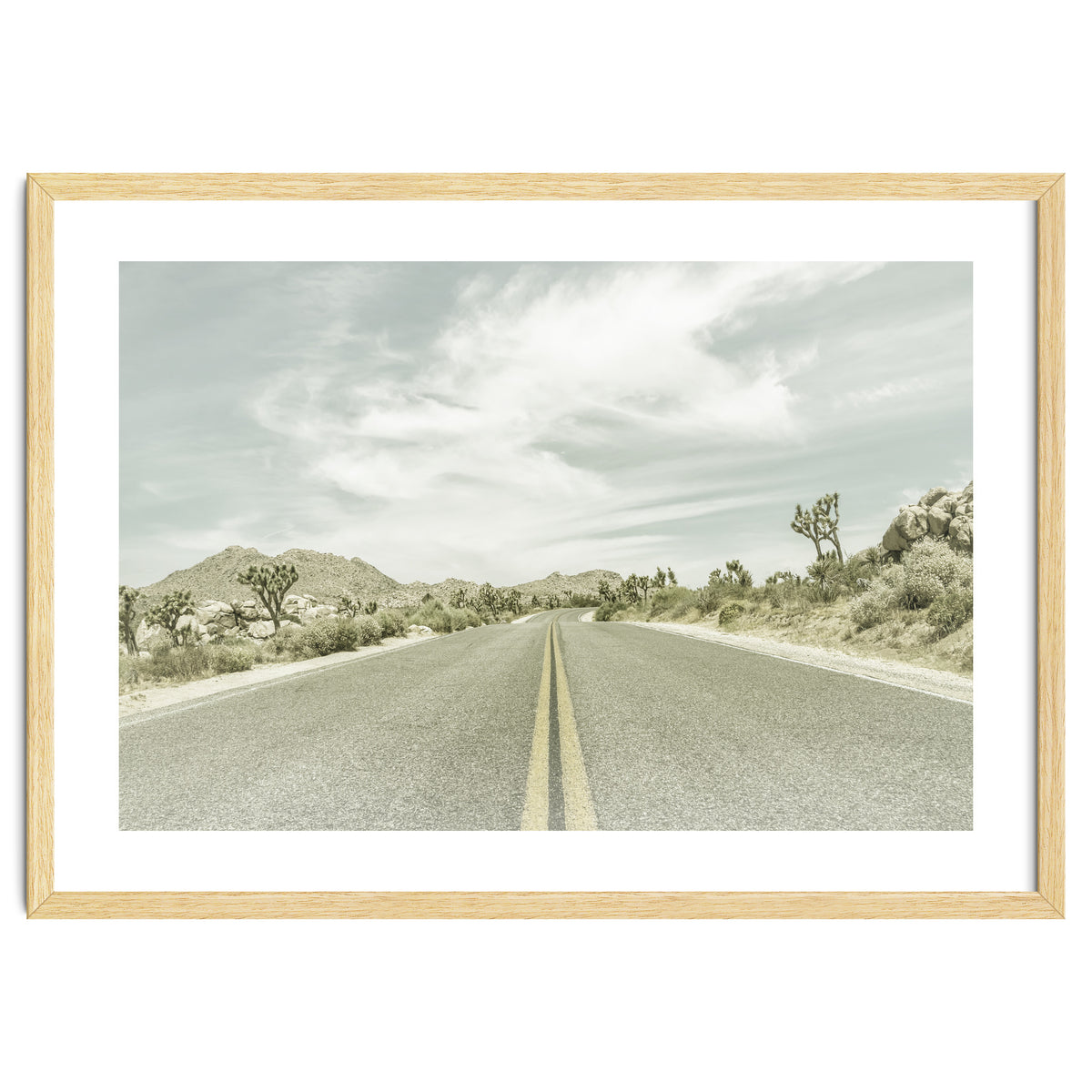 Joshua Trees, Park Boulevard | Vintage
