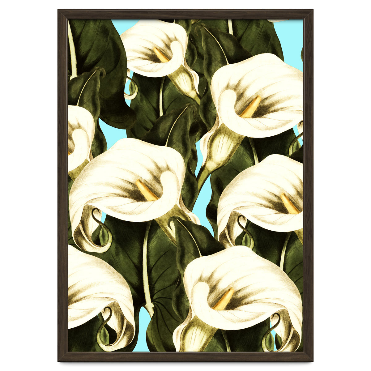 Pattern floral Ethiopian-Calla