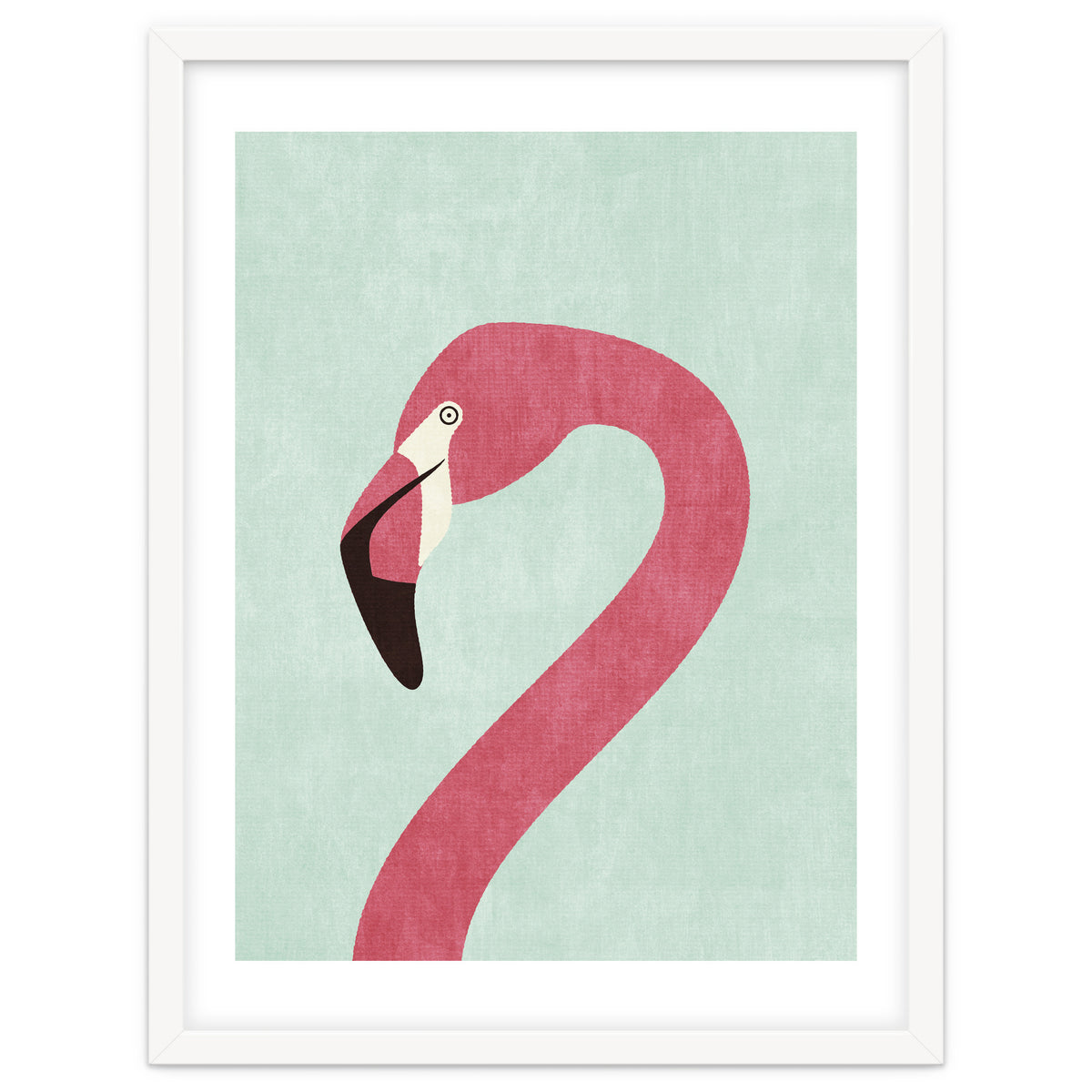 FAUNA / Flamingo
