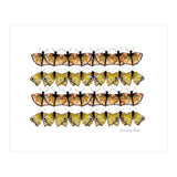 Butterfly Dance (Print Only) thumbnail