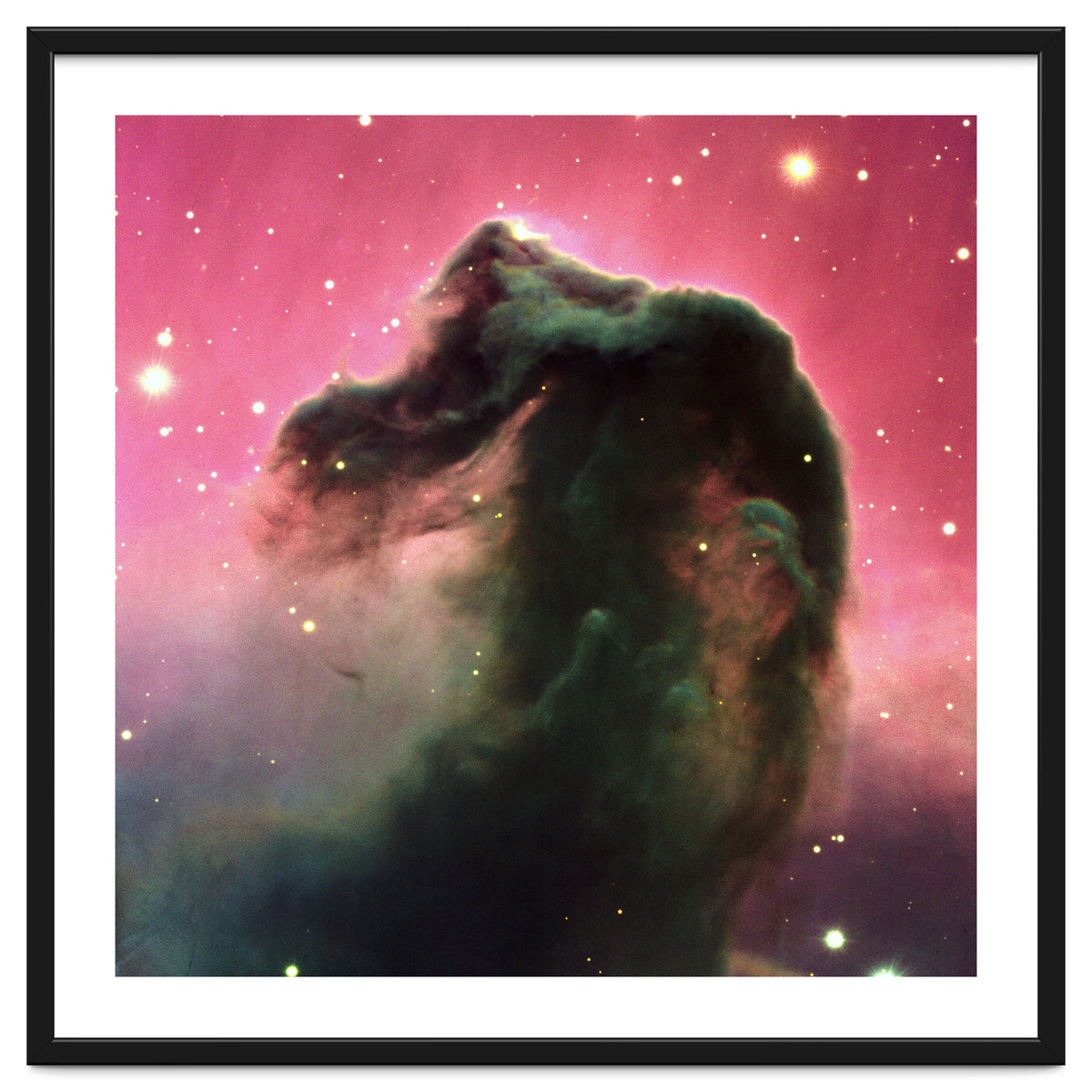 The Horsehead Nebula