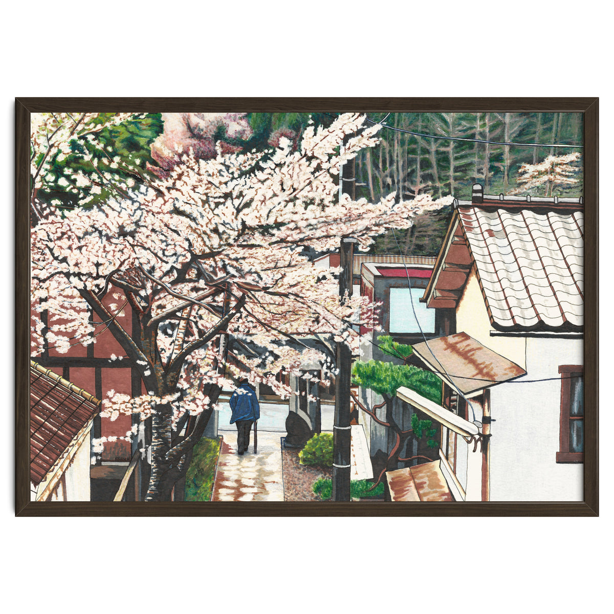 Passing by Cherry Blossoms