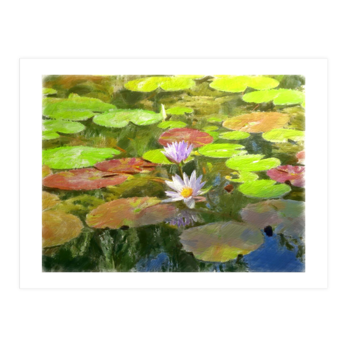 Floating in the water (Print Only)