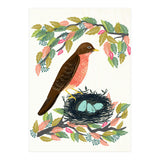 Robin (Print Only) thumbnail