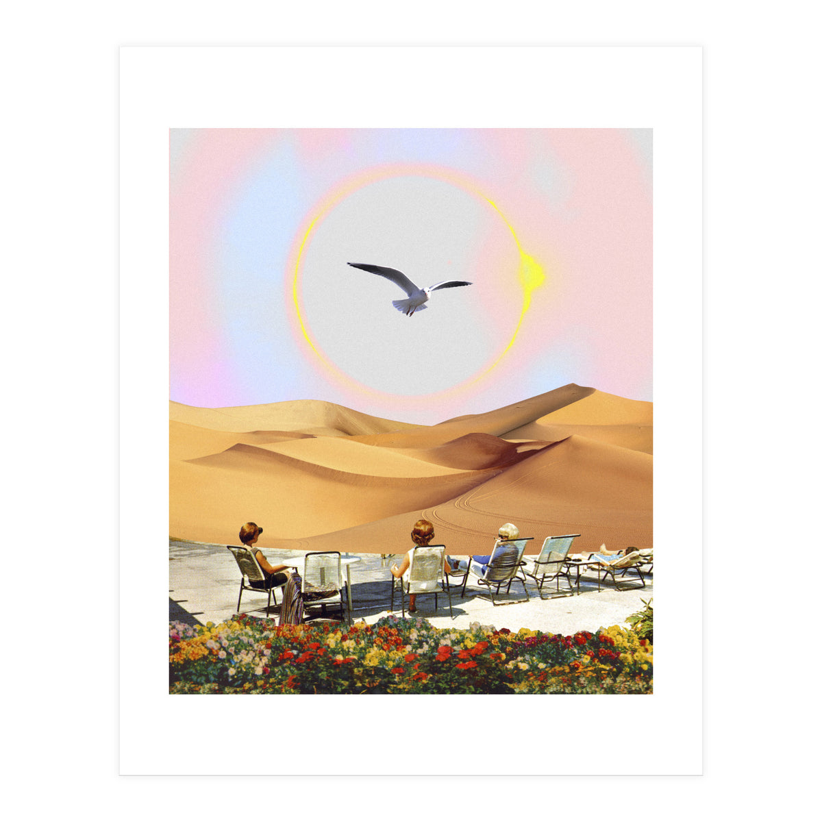 Birdwatching 2.0. (Print Only)