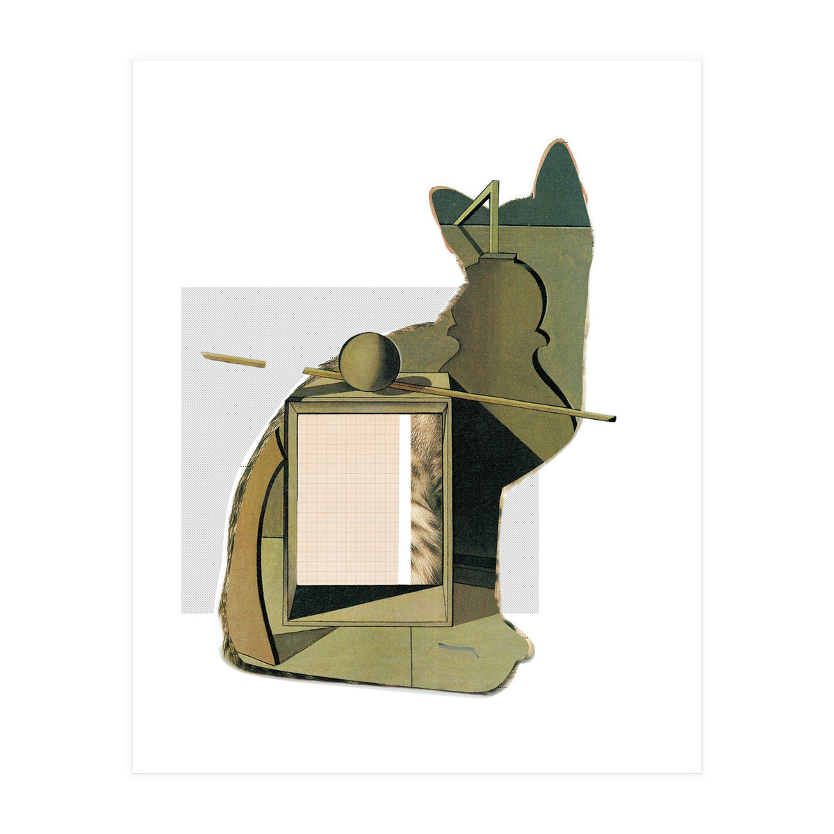 Catomania · Aus Den Sieben Leben Einer Katze · Morandi´s Cat (Print Only)