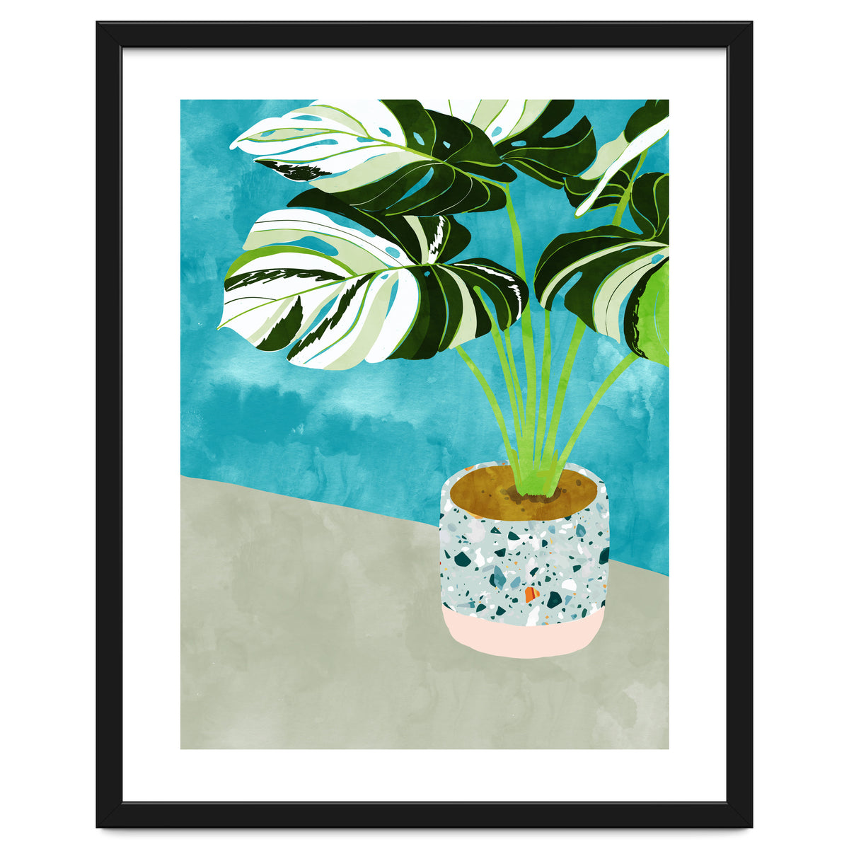Variegated Monstera